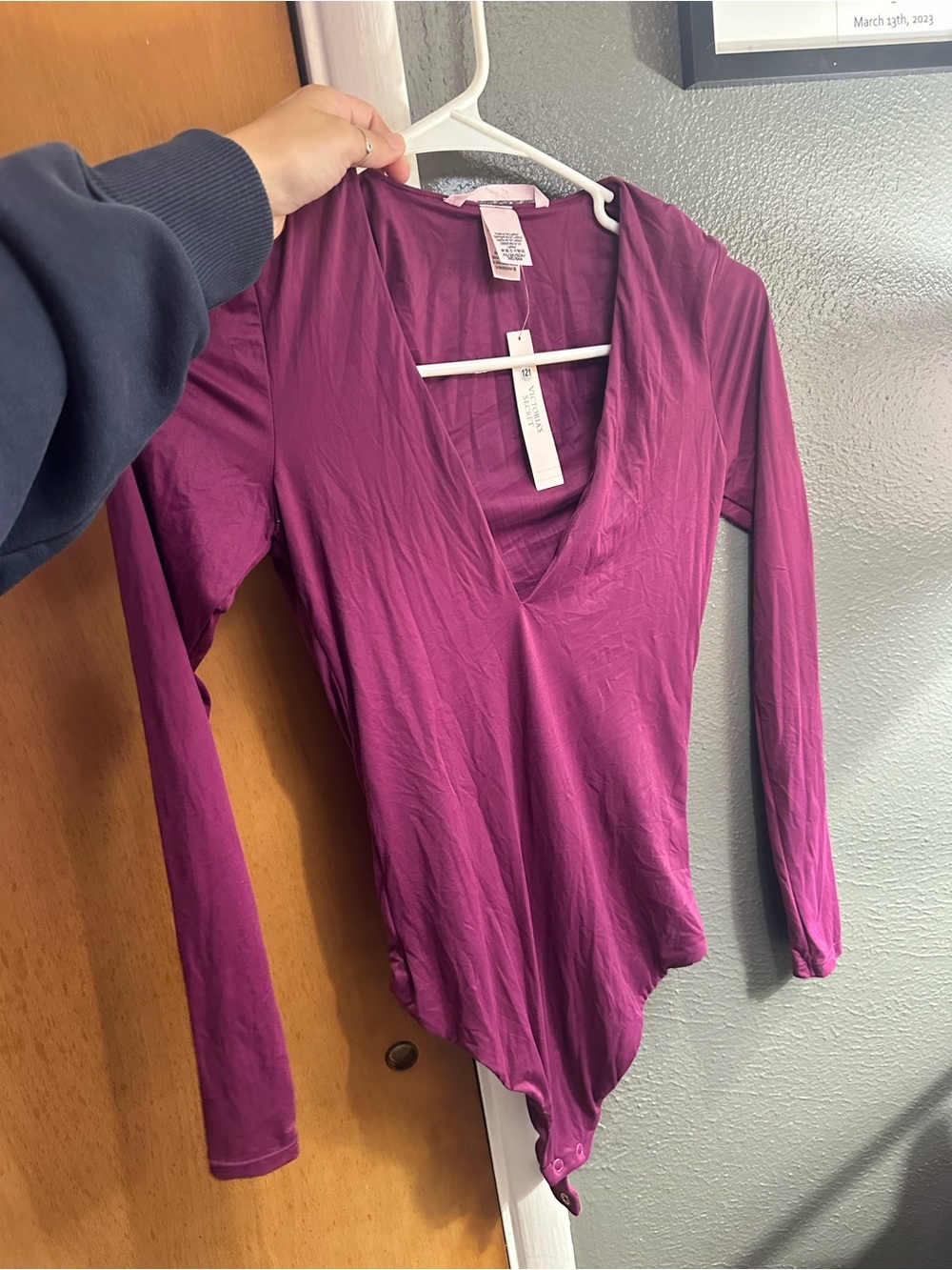 Victoria's Secret Deep V Long-Sleeve Bodysuit in Plum
